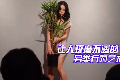 精品让人琢磨不透的另类行为艺术美女抱着一盆花穿着透明衣服全场人鸦雀无声静静看着她表演