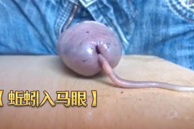蚯蚓入马眼奇特重口味虐鸡再打飞机射出来