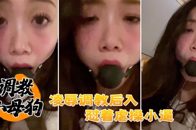 调教母狗凌辱后入怼操小逼