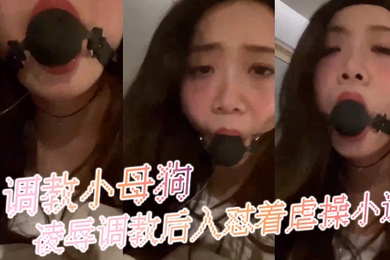 调教小母狗凌辱调教后入怼着虐操小逼