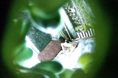 酒店偷拍绿叶房纹身猛男约炮白嫩少妇像被强暴哭腔式叫床看得我一头雾水