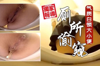 牛逼厕所偷窥公共女坐便坑内镜头多位气质白领大小便