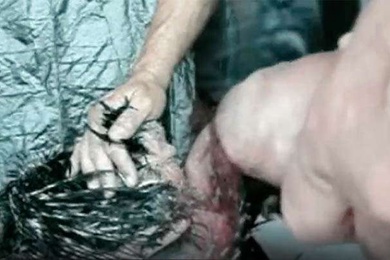 鸡被鸡奸从背后操她的洞