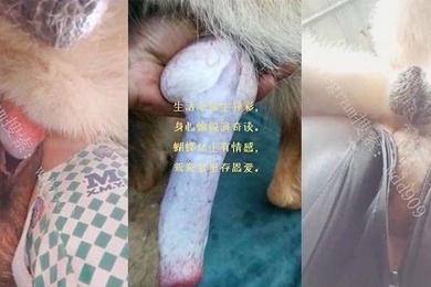 喜欢人狗双棒夹击的老婆老公喜欢和狗3p老婆