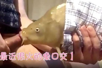 最近很火的鱼口交鱼都被迫下海了吗