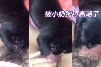 被.小.奶狗..舔高.潮了