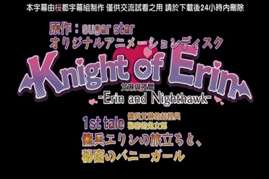 第一集艾琳她们的冒险开始了从哥布林那里榨取魔力在祠堂的考验中被榨取母乳