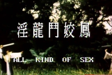 台湾淫龙.斗.娇.凤1981