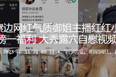 快手网红御姐主播榜一福利大秀露穴自慰视频流出