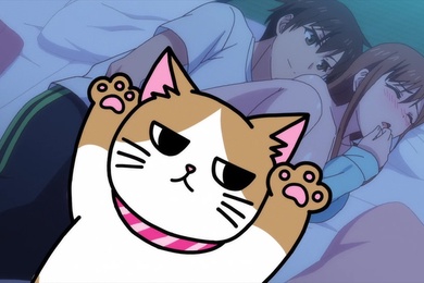 哥哥喜欢从后面进吗