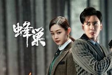 AI明星换脸与AI合成声AI-特殊电视剧之蜂巢宋轶-女间谍的特殊逼供