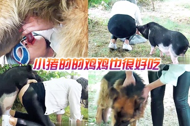 小猪的的鸡鸡也很好吃