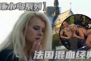 啄木鸟系列法国混血经典