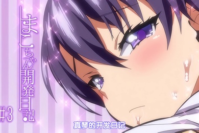 中文字幕真瑟的开发日记第3话