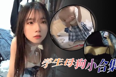 精选合集高颜值学生母狗小合集